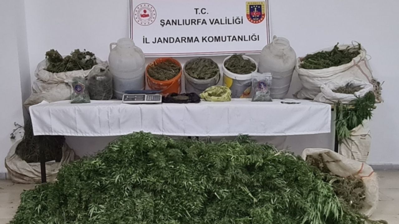 Şanlıurfa'da tarihi eser ve uyuşturucuyla yakalanan 2 şüpheli gözaltına alındı