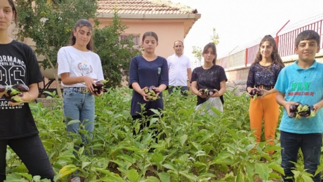 Şırnak'ta okul bahçesinde yetiştirilen sebzeler ihtiyaç sahiplerine dağıtılıyor