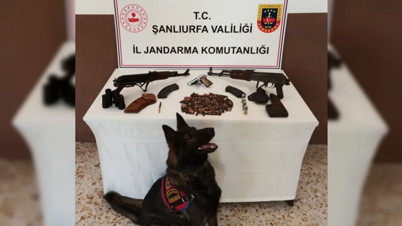 Şanlıurfa'da silah kaçakçılarına yönelik operasyonda 2 şüpheli yakalandı