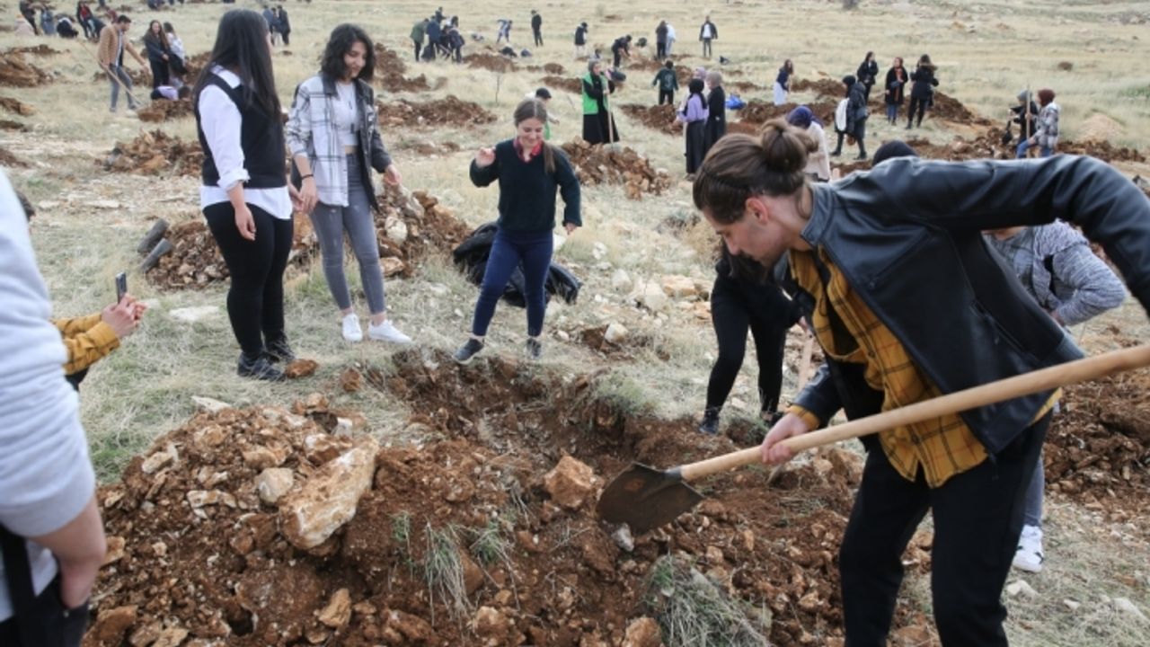 Mardin'de 1000 fıstık fidanı toprakla buluşturuldu
