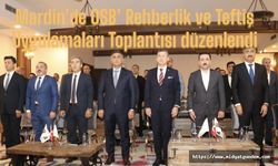 Mardin’de OSB’ Rehberlik ve Teftiş Uygulamaları Toplantısı düzenlendi