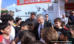 Vali Akkoyun, Hayvan Barınağı ve Hayvan Hastanesini Ziyaret Etti