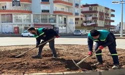 Midyat Belediyesinden, estetik dokunuş