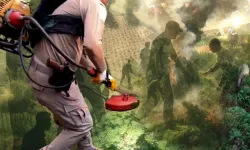 Diyarbakır'da Milyonlarca kök kenevir ele geçirildi