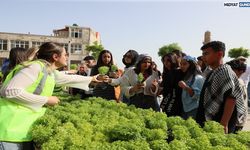 Mardin Büyükşehir Belediyesi 60 bin fesleğeni vatandaşlara dağıttı