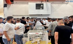 Musul Güvercin Tutkunları Midyat’ta Buluştu