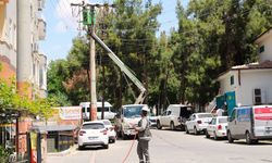 Dicle Elektrik’ten Şanlıurfa’da 3 Bin Kilometrelik Hat Bakımı