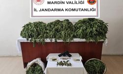 Jandarma’dan Nusaybin’de Uyuşturucu Operasyonu
