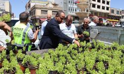 Midyat’ta Vatandaşlara Fesleğen ve Reyhan Dağıtıldı