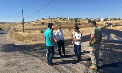 Başkan Hamidi Hafta Sonu Da Sahada
