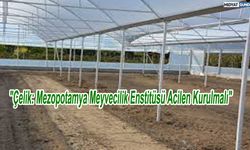 "Çelik: Mezopotamya Meyvecilik Enstitüsü Acilen Kurulmalı"