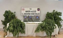 Jandarma’dan Derik’te Uyuşturucu Operasyonu