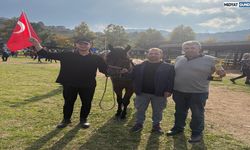 Midyatlı Binici Kadri Şahin’den Ünye’de Büyük Başarı!