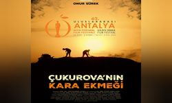 Onur Sürek, Altın Portakal Finalinde