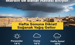 Mardin'de Bahar Havası Bitiyor