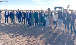 MAÜ’de Mezopotamya Toprağına Yeni Bir Miras: Zeytin Dikimi