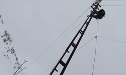 Mardin, Siirt ve Şırnak’ta 7/24 kar mesaisi