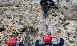 Midyat’ta Dağda Mahsur Kalan Keçi AFAD Ekiplerince Kurtarıldı