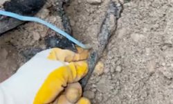 Şırnak’ta 800 Yeraltı Noktasında Kaçak Elektrik Bağlantısı Tespit Edildi