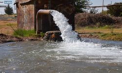 Güneydoğu'da Mısır Ekimi: Su ve Enerji Krizi Kapıda