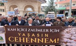 Midyat’ta ABD ve İsrail’in İran’a yönelik saldırıları protesto edildi