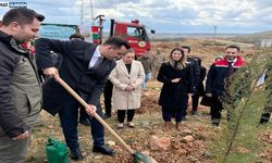 Dargeçit’te Orman Haftası Kapsamında Fidan Dikim Etkinliği Gerçekleştirildi