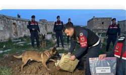 Mardin’de JASAT Pençesi: Bir Ayda 448 Aranan Şahıs Yakalandı!