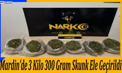 Mardin’de 3 Kilo 300 Gram Skunk Ele Geçirildi