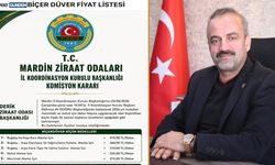 Midyat ve Mardin'de 2026 Yılı Biçerdöver Fiyatları Belli Oldu!