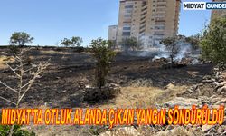 Midyat’ta otluk alanda çıkan yangın söndürüldü