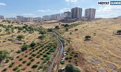 MARSU, Bir Dereyi Daha Yer Altına Alıyor; Tarım Arazileri Korunuyor