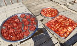 Midyat’ta güneş kışa hazırlanıyor: Domates kurutma mesaisi başladı
