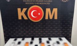 Mardin’de Kaçakçılık Operasyonu: 26 Cep Telefonu Ele Geçirildi
