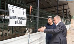 Başkan Veysi Şahin’den Bakımevi Ziyareti ve Sahiplenme Çağrısı