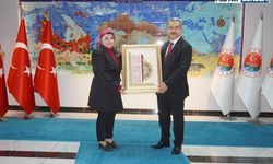 Mardin Olgunlaşma Enstitüsü’nden Şırnak ve Silopi’de Kültürel Miras Araştırması