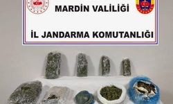 Mardin'de Jandarmadan Zehir Tacirlerine Darbe 9 Tutuklama