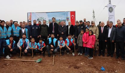 Midyat'ta, "Milli Ağaçlandırma Günü"