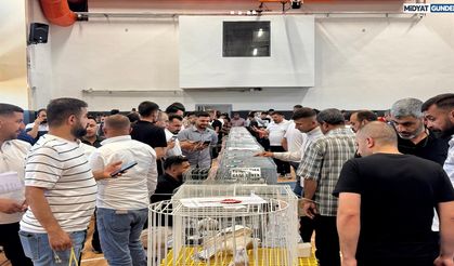 Musul Güvercin Tutkunları Midyat’ta Buluştu