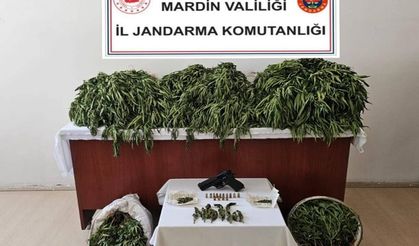 Jandarma’dan Nusaybin’de Uyuşturucu Operasyonu