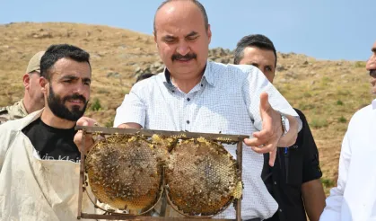 Batman Sason'da bal hasadı coşkusu