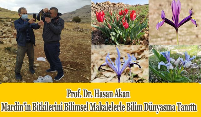 Prof. Dr. Akan: Mardin İlinin Bitkilerini Bilimsel Makalelerle bilim dünyasına tanıttı