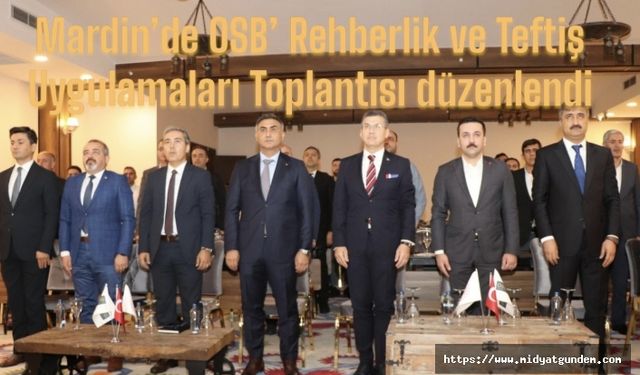 Mardin’de OSB’ Rehberlik ve Teftiş Uygulamaları Toplantısı düzenlendi