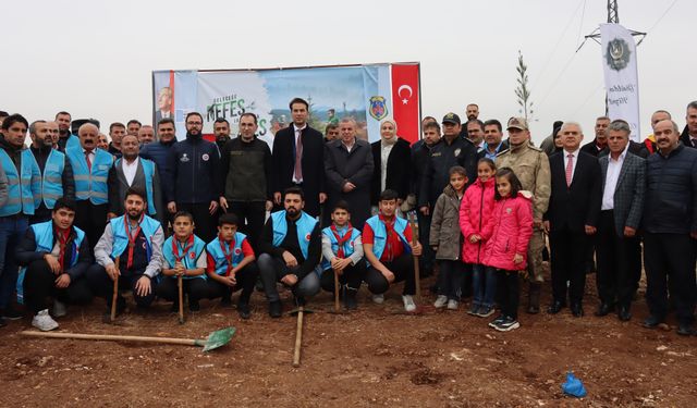 Midyat'ta, "Milli Ağaçlandırma Günü"