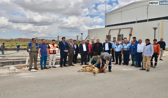 Belediye Başkanı Şahin, Annesi Adına Cami Yaptırıyor