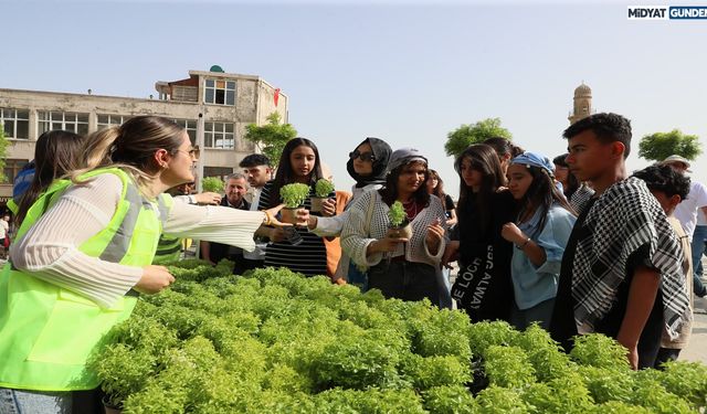 Mardin Büyükşehir Belediyesi 60 bin fesleğeni vatandaşlara dağıttı