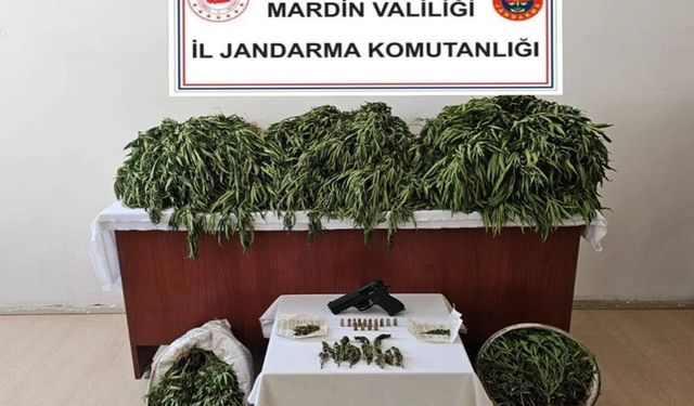 Jandarma’dan Nusaybin’de Uyuşturucu Operasyonu