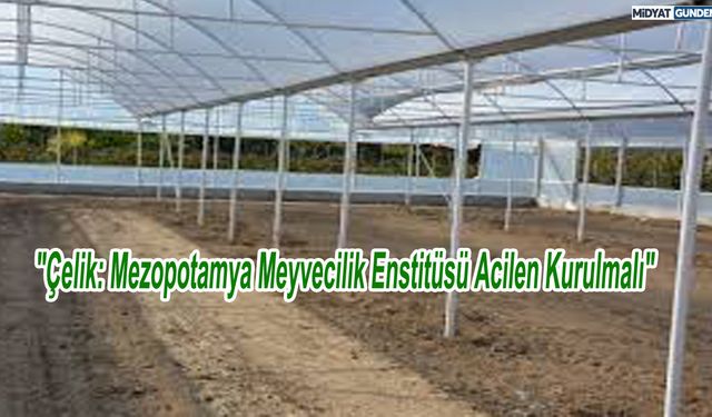 "Çelik: Mezopotamya Meyvecilik Enstitüsü Acilen Kurulmalı"