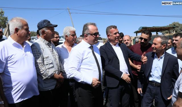 Savur-Ömerli Yolunda Asfalt Çalışmaları Hızla İlerliyor