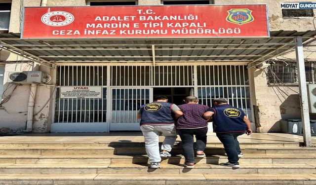 Jandarma'dan Nusaybin'de Firari Hükümlüye Operasyon