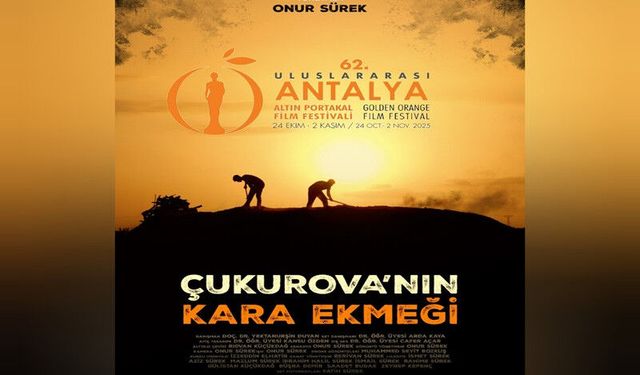 Onur Sürek, Altın Portakal Finalinde